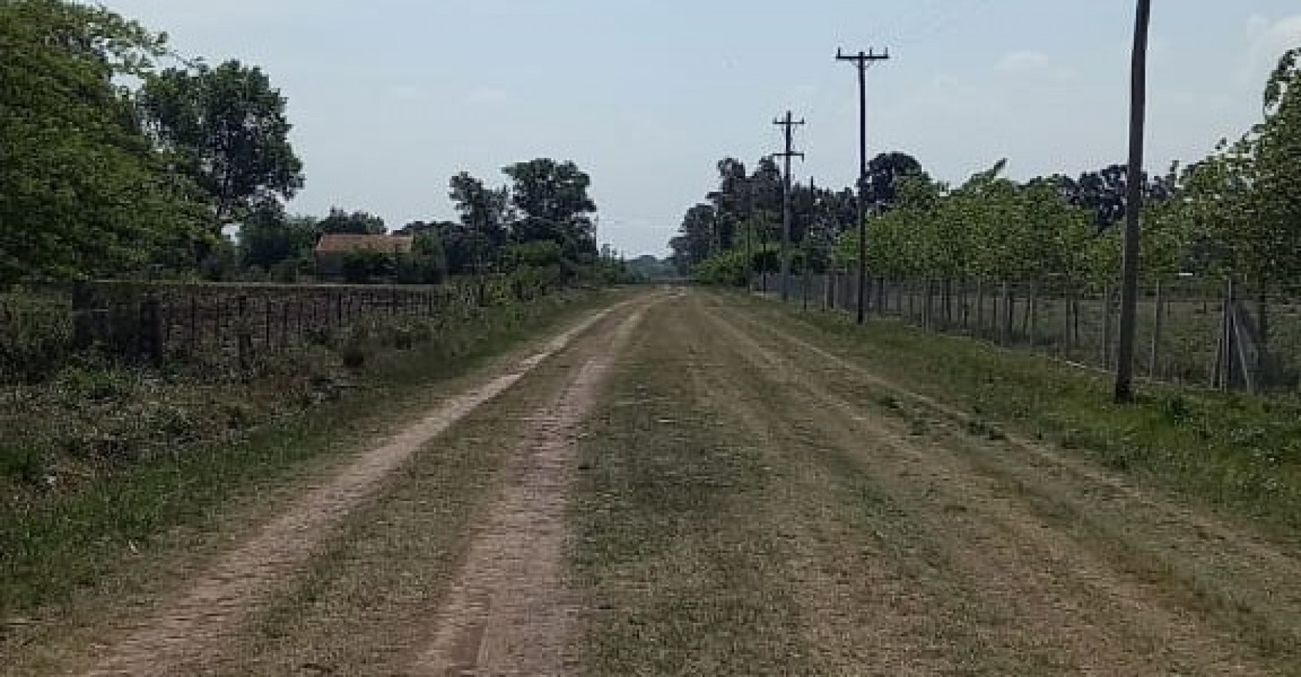 CAMPO EN VENTA (DOS FRACCIONES DE 5 HECTAREAS CADA UNA) MARCOS PAZ.