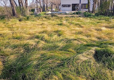 TERRENO EN VENTA - CAÑUELAS - VILLA ADRIANA